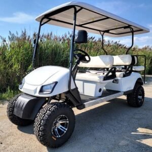 wildcat white a.jpg