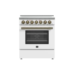 imageye imgi 239 electricrange ffsel6011 30wht 2024 11 front.jpg